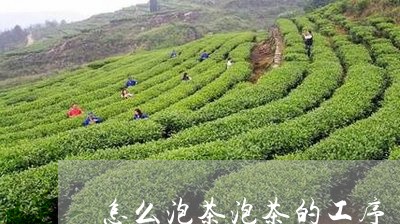 怎么泡茶泡茶的工序/2023032197260