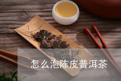 怎么泡陈皮普洱茶/2023031783716