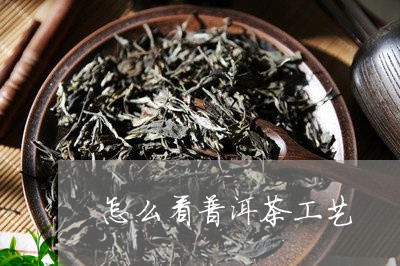 怎么看普洱茶工艺/2023033143147