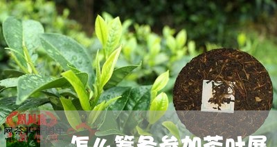 怎么筹备参加茶叶展/2023032236948