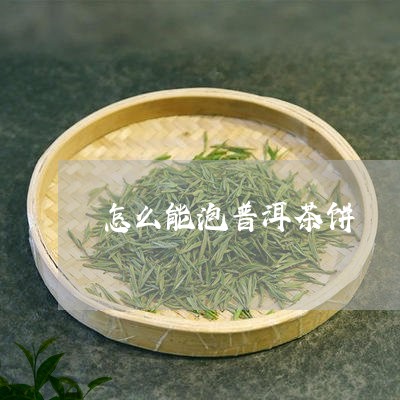 怎么能泡普洱茶饼/2023031791826