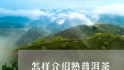 怎样介绍熟普洱茶/2023031821505