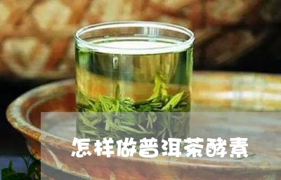 怎样做普洱茶酵素/2023041074039