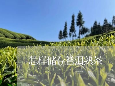 怎样储存普洱熟茶/2023031888594