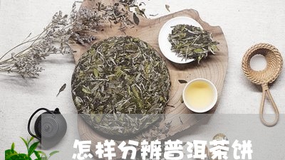 怎样分辨普洱茶饼/2023041025160