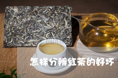 怎样分辨红茶的好坏/2023041692825