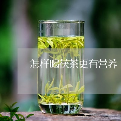 怎样喝茯茶更有营养/2023031947582