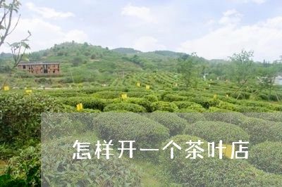 怎样开一个茶叶店/2023041344934