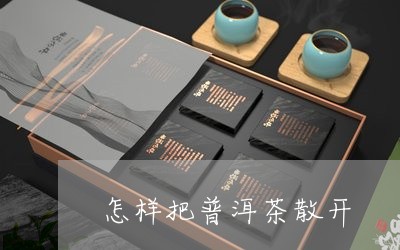 怎样把普洱茶散开/2023041063837