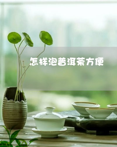 怎样泡普洱茶方便/2023031780484