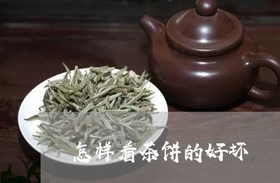 怎样看茶饼的好坏/2023041393037