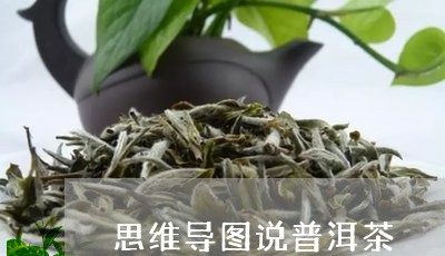 思维导图说普洱茶/2023031746150