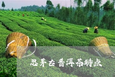 思茅古普洱茶特点/2023031815037