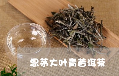 思茅大叶青普洱茶/2023040103695