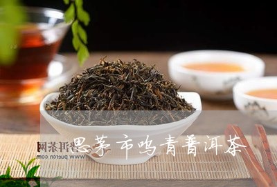 思茅市呜青普洱茶/2023033136258