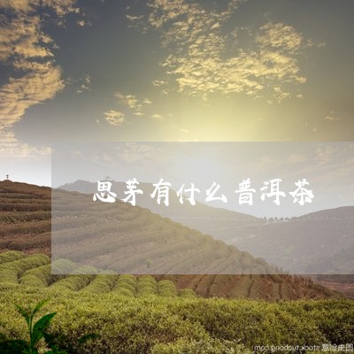 思茅有什么普洱茶/2023040947149