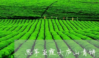 思茅王霞大庐山青饼/2023041668683