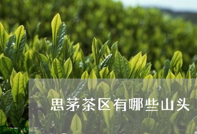 思茅茶区有哪些山头/2023041631615