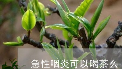 急性咽炎可以喝茶么/2023032070483