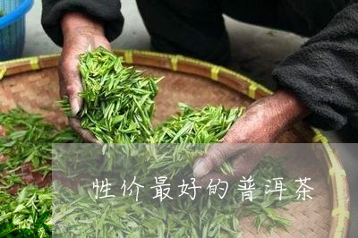 性价最好的普洱茶/2023033169693