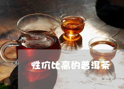 性价比高的普洱茶/2023031842717