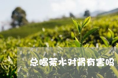 总喝茶水对肾有害吗/2023032081796