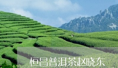 恒昌普洱茶赵晓东/2023033169594