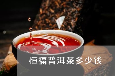 恒福普洱茶多少钱/2023033053636