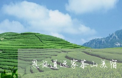 恩施道远家茶山美宿/2023032023927