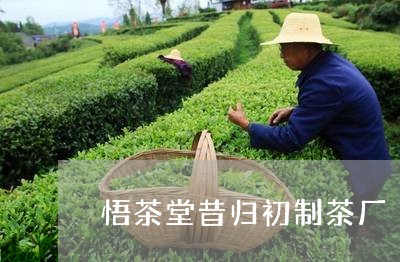 悟茶堂昔归初制茶厂/2023041458682