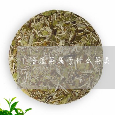 悟道茶属于什么茶类/2023032148391