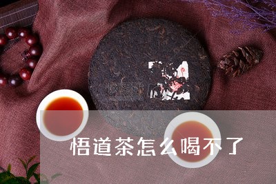 悟道茶怎么喝不了/2023032215261