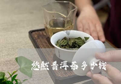 悠然普洱茶多少钱/2023041243927