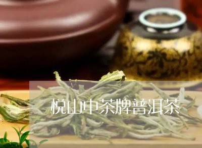 悦山中茶牌普洱茶/2023041149474