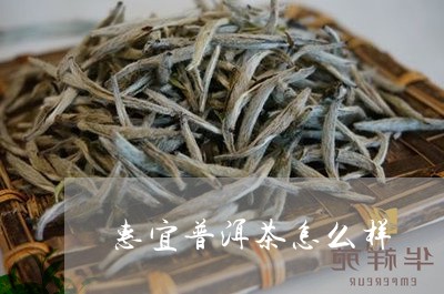 惠宜普洱茶怎么样/2023033147583