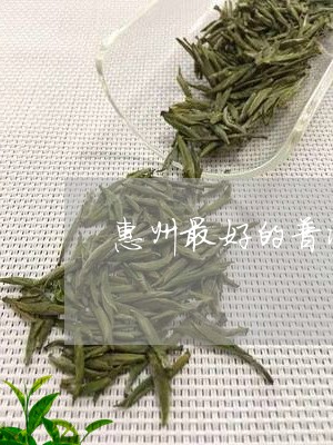 惠州最好的普洱茶/2023041084058