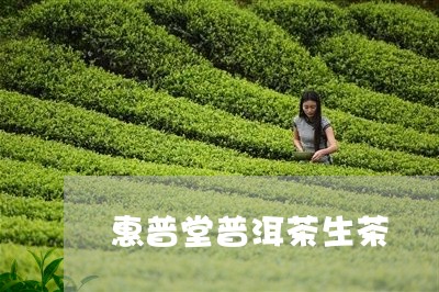 惠普堂普洱茶生茶/2023031889570