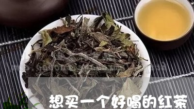 想买一个好喝的红茶/2023041524050