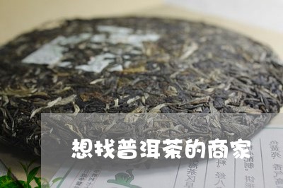 想找普洱茶的商家/2023041370602