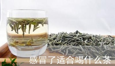 感冒了适合喝什么茶/2023031922834