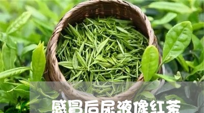 感冒后尿液像红茶/2023032350603