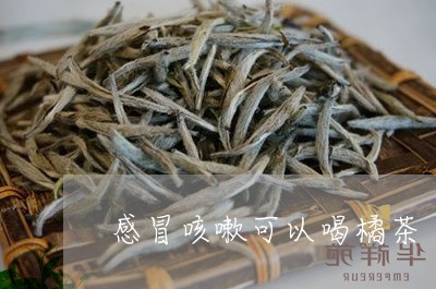 感冒咳嗽可以喝橘茶/2023031898473