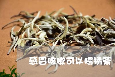 感冒咳嗽可以喝橘茶/2023041422592