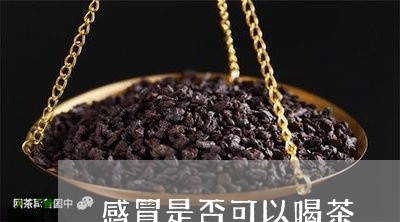 感冒是否可以喝茶/2023032459703