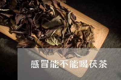 感冒能不能喝茯茶/2023032277150