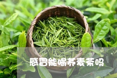 感冒能喝荞麦茶吗/2023032249704