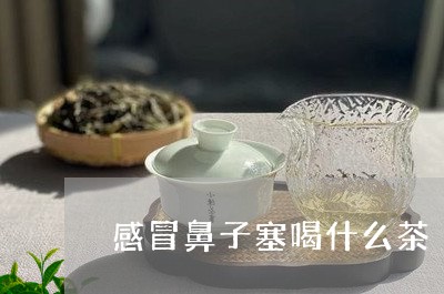 感冒鼻子塞喝什么茶/2023041510495