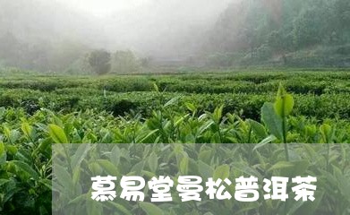 慕易堂曼松普洱茶/2023033177049