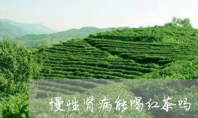 慢性肾病能喝红茶吗/2023031918360