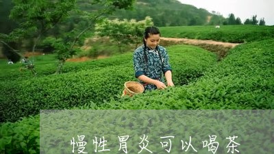 慢性胃炎可以喝茶/2023032532504